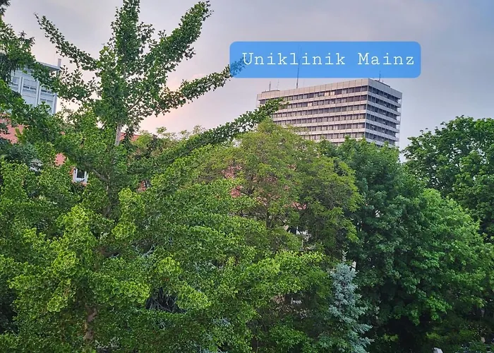 Privatzimmer An Der Uniklinik Mainz, Sehr Zentral