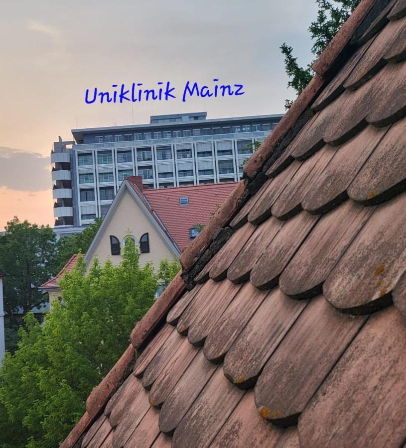 Accommodatie bij particulieren An Der Uniklinik Mainz, Sehr Zentral Mainz